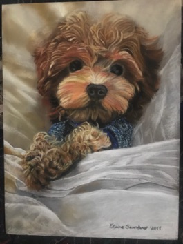 Labradoodle - puppy 12x16
Original $350